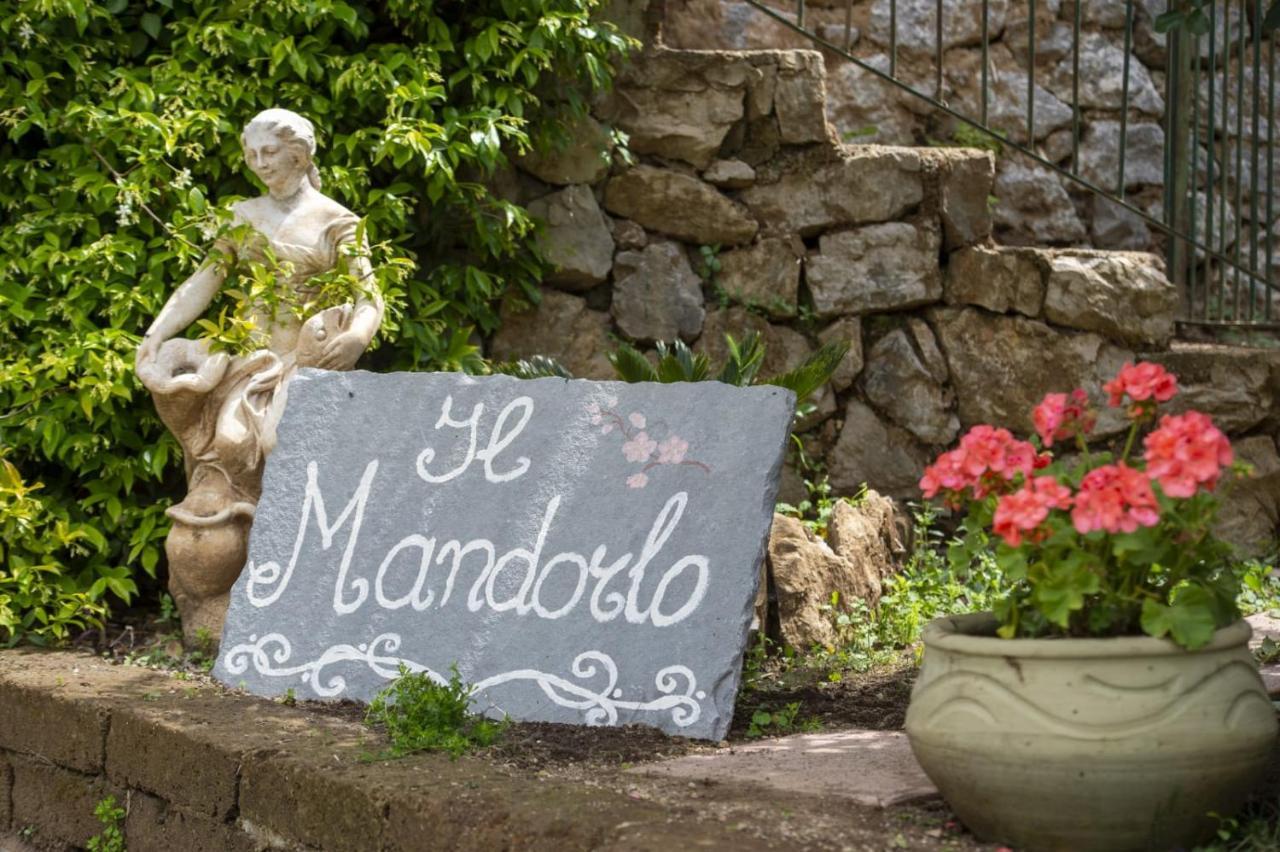 Il Mandorlo Bed and Breakfast Tramonti Eksteriør billede